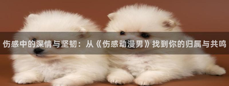 漫画禁漫天堂歪歪漫画：伤感中的深情与坚韧：从《伤感动漫男》找到你的归属与共鸣